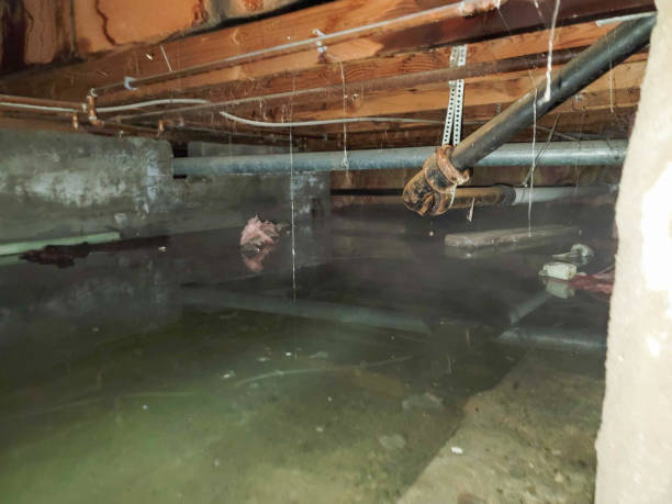 Best Ceiling water damage repair  in Manito, IL