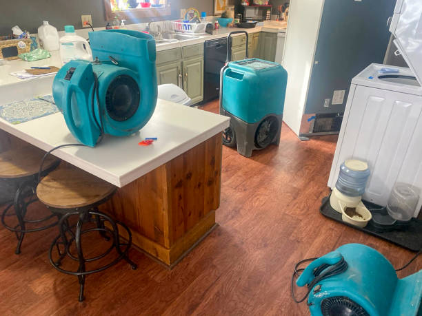 Best Water damage restoration near me  in Manito, IL