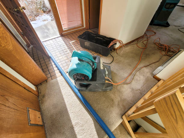 Best Water damage restoration company  in Manito, IL