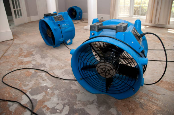 Reliable Manito, IL Water damage restoration Solutions