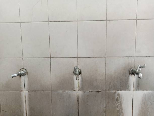 Best Flood damage cleanup  in Manito, IL