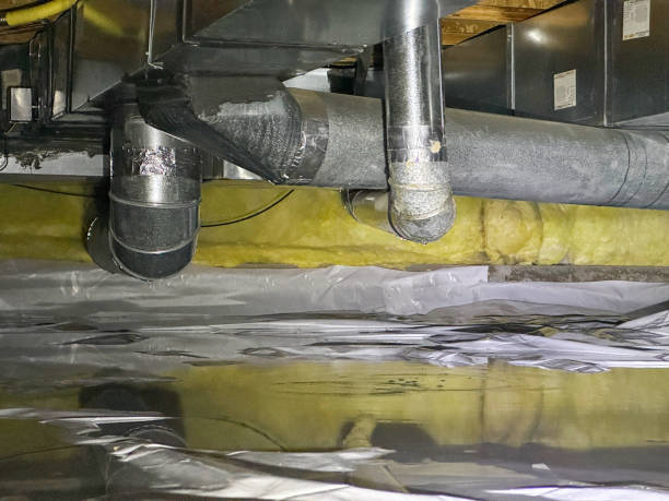 Best Professional water damage repair  in Manito, IL