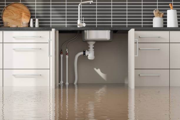 Best Water damage mitigation services  in Manito, IL
