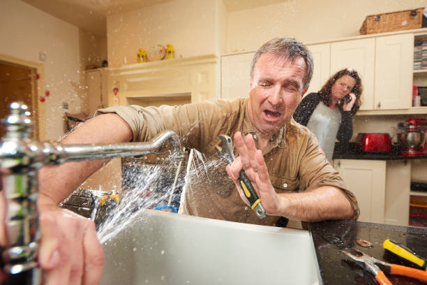 Best Fire Damage Restoration  in Manito, IL